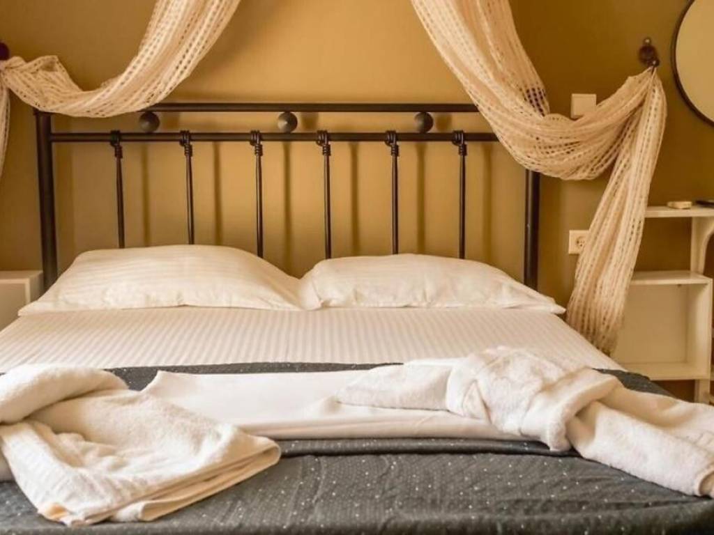 Hotel - Grekodom 49486|734453