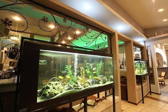 Hotel - Grekodom 49096|729033