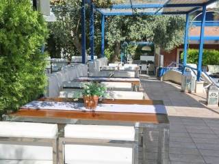 Hotel - Grekodom 49095|729014