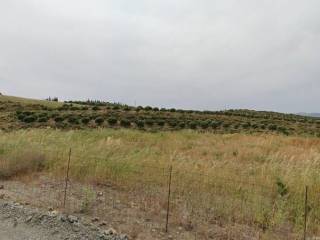 Plot - Grekodom 48899|725907