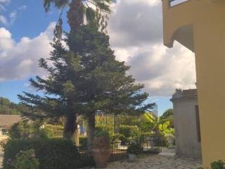 Hotel - Grekodom 48888|725822