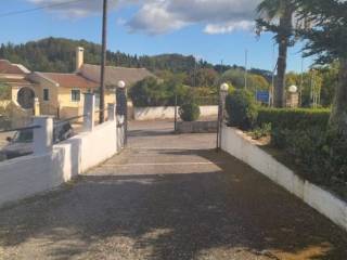 Hotel - Grekodom 48888|725826