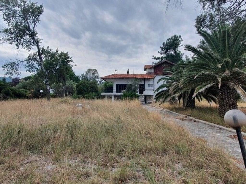 Plot - Grekodom 48742|723647