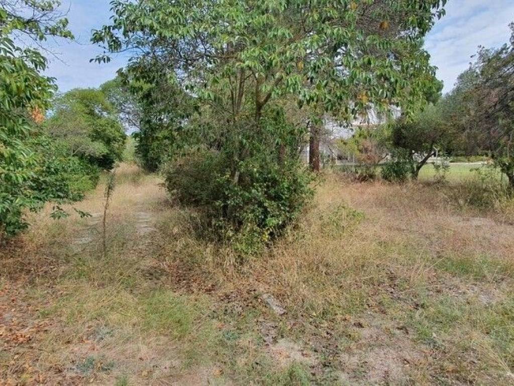 Plot - Grekodom 48742|723638