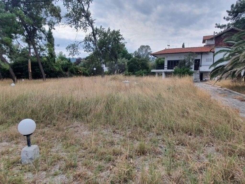 Plot - Grekodom 48742|723639