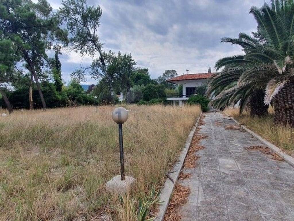 Plot - Grekodom 48742|723643