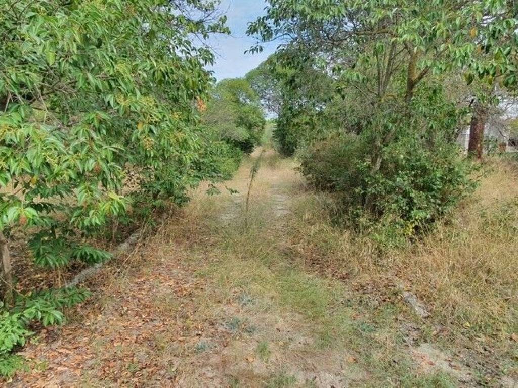 Plot - Grekodom 48742|723641