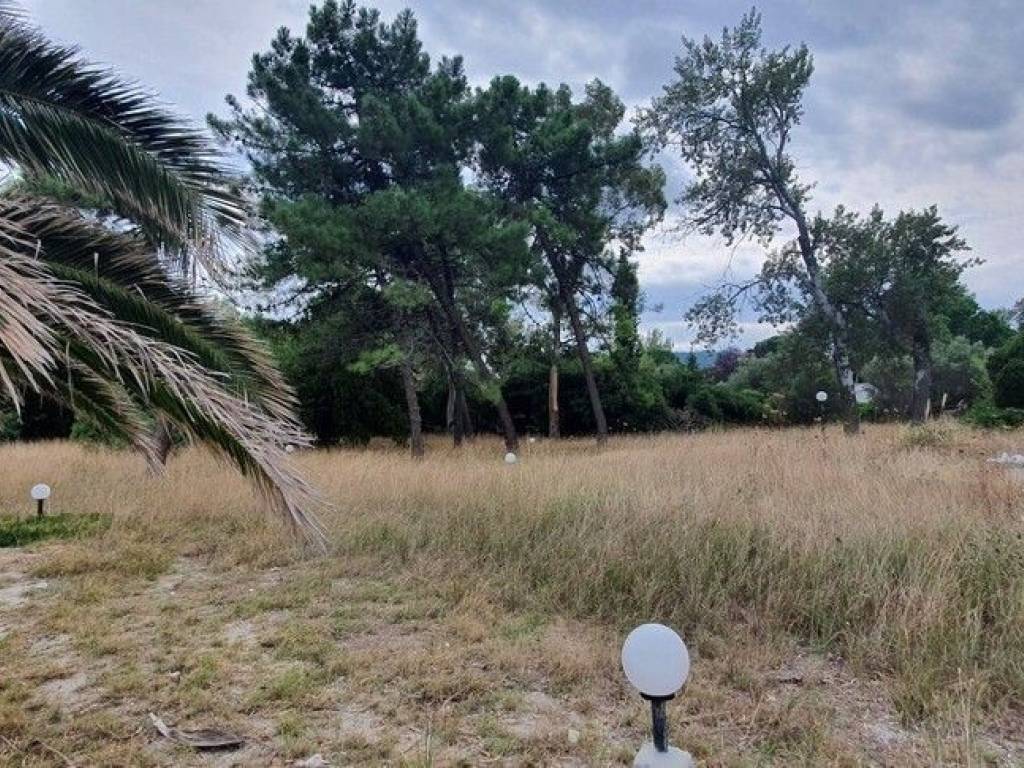 Plot - Grekodom 48742|723646