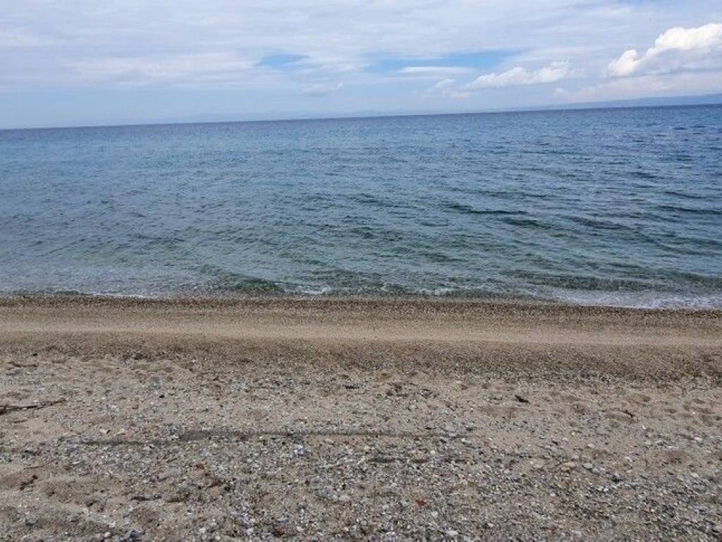 Plot - Grekodom 48742|723642