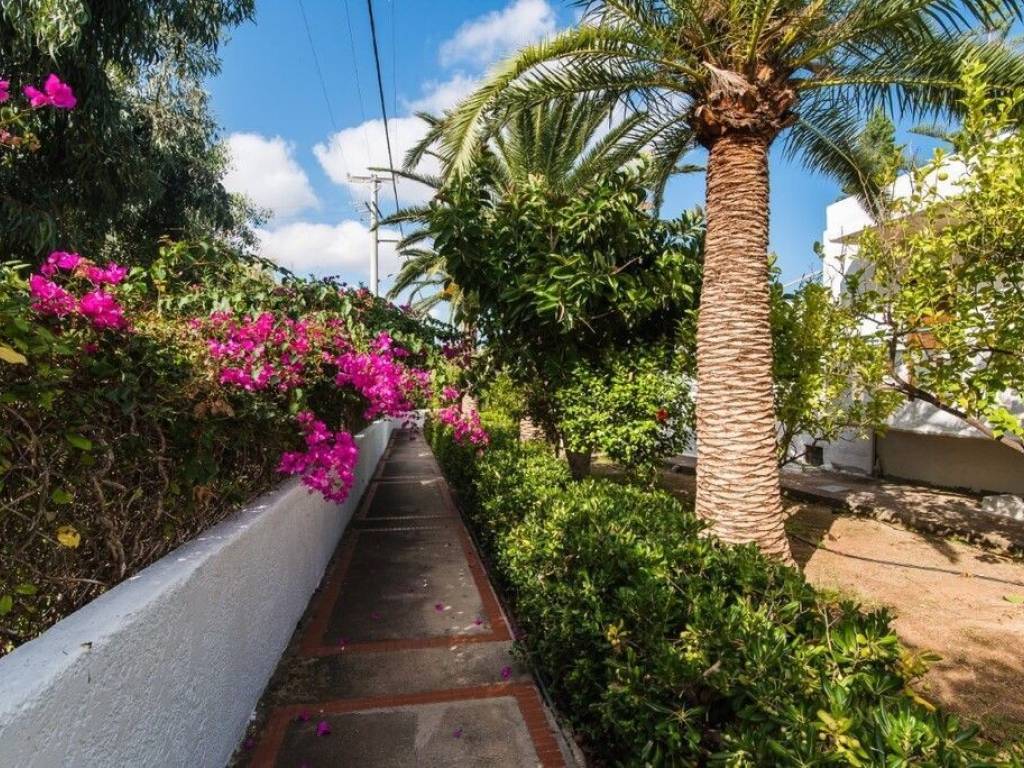 Hotel - Grekodom 48666|722728