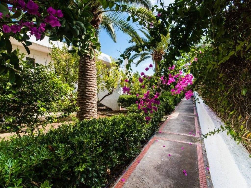 Hotel - Grekodom 48666|722729