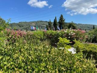 Hotel - Grekodom 47788|692935