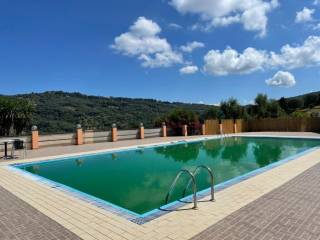 Hotel - Grekodom 47788|692956