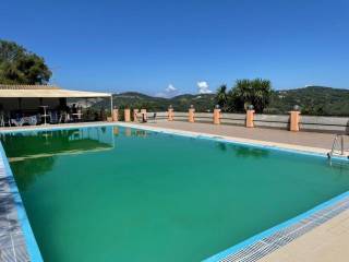 Hotel - Grekodom 47788|692953