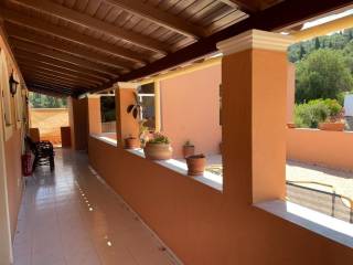 Hotel - Grekodom 47788|692961