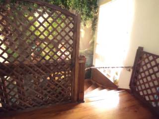 Building - Grekodom 47083|682722