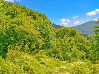 Plot - Grekodom 45985|670966