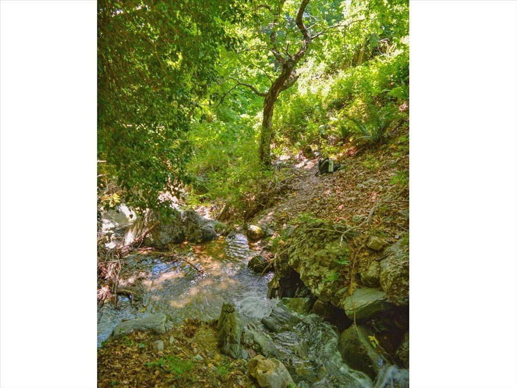 Plot - Grekodom 45985|670967