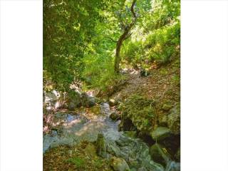 Plot - Grekodom 45985|670967