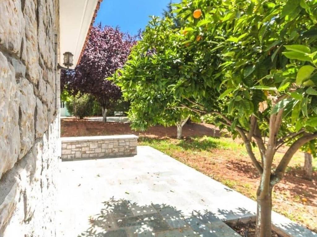 Maisonette - Grekodom 45846|669067