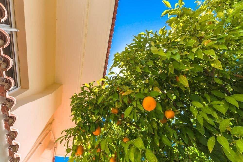 Maisonette - Grekodom 45846|669071