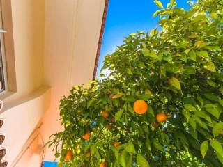 Maisonette - Grekodom 45846|669071