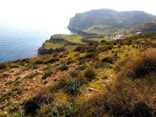 Plot - Grekodom 45536|664238