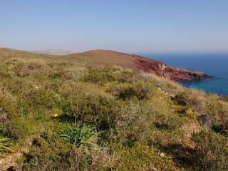 Plot - Grekodom 45536|664239