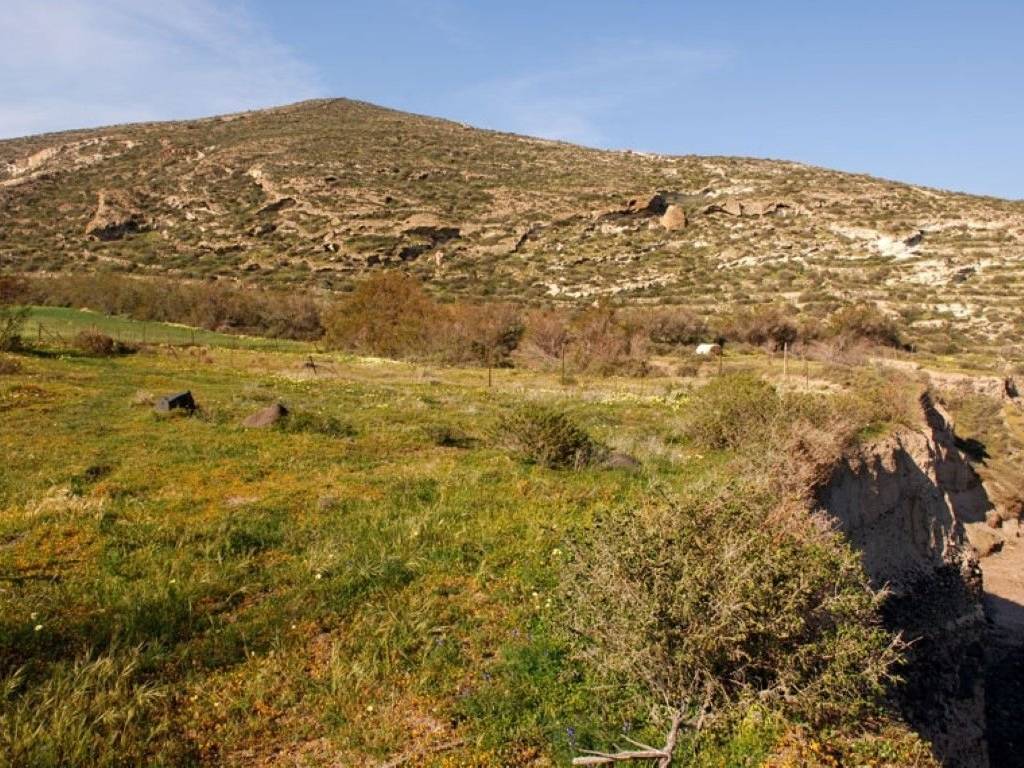 Plot - Grekodom 45536|664241