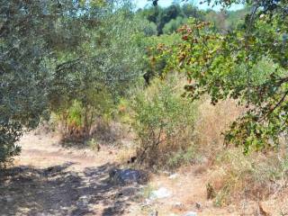 Plot - Grekodom 45345|661561