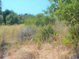 Plot - Grekodom 45345|661567