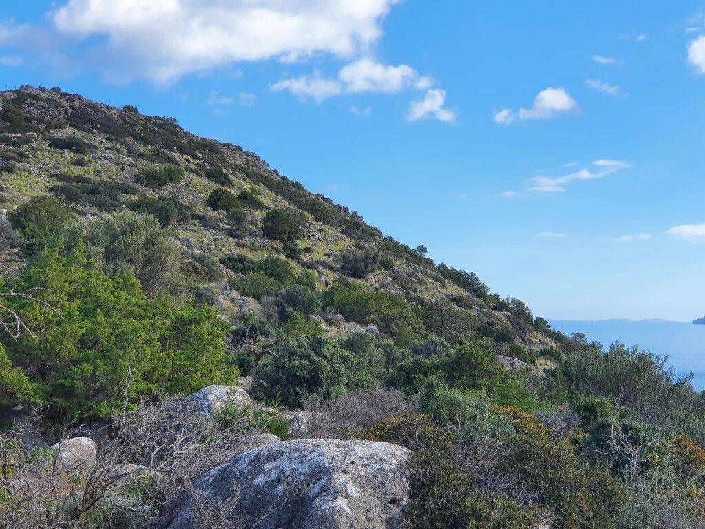 Plot - Grekodom 45332|678091