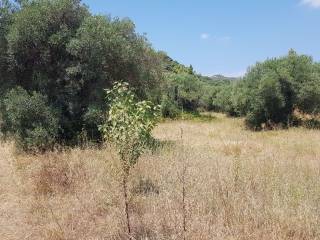 Plot - Grekodom 45226|659560