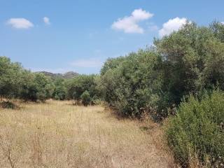 Plot - Grekodom 45226|659558