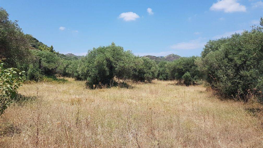 Plot - Grekodom 45226|659559