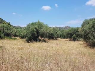 Plot - Grekodom 45226|659559