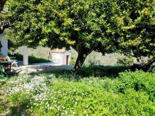 Villa - Grekodom 45241|666819