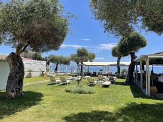 Hotel - Grekodom 45008|985472