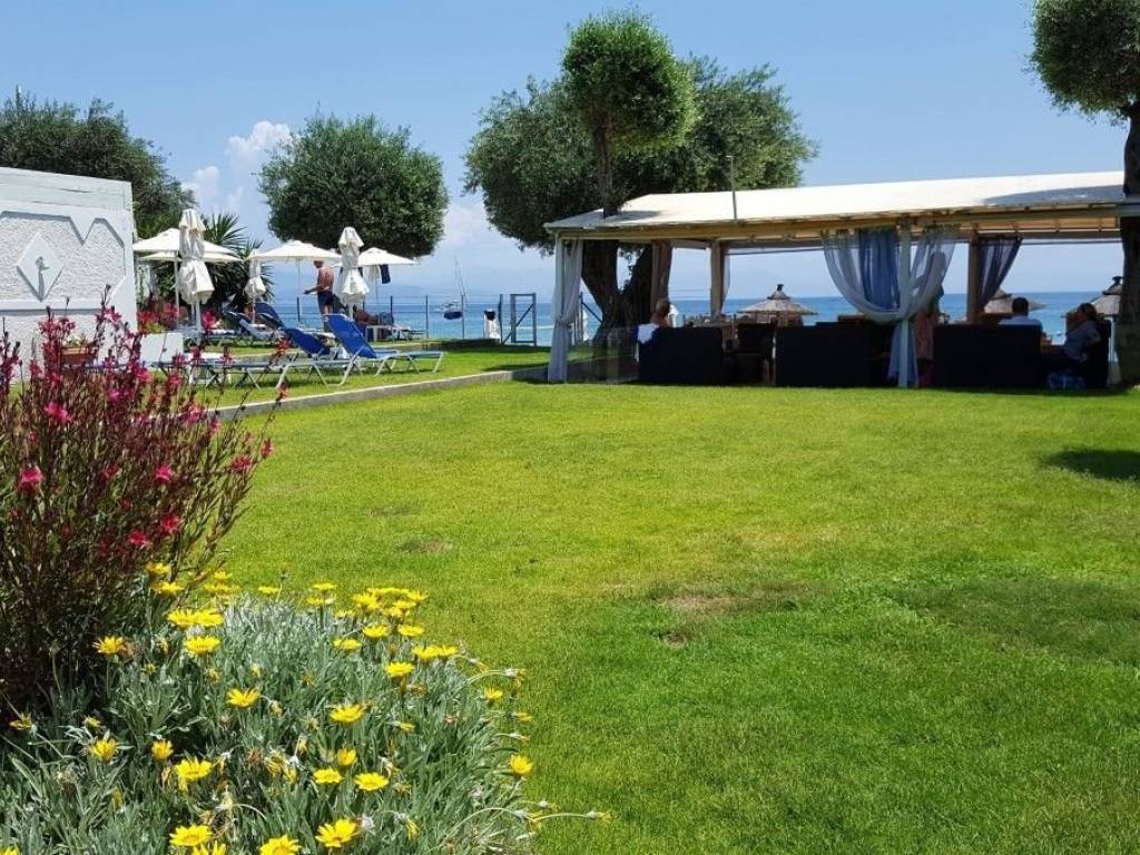 Hotel - Grekodom 45008|655837