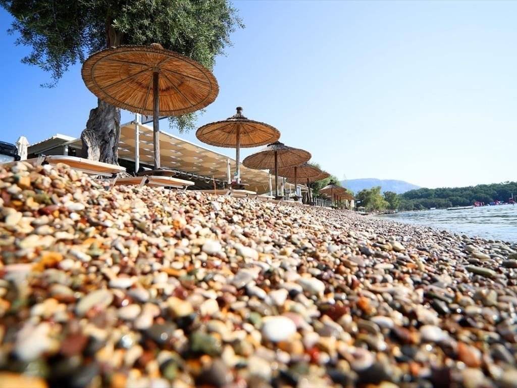 Hotel - Grekodom 45008|655838