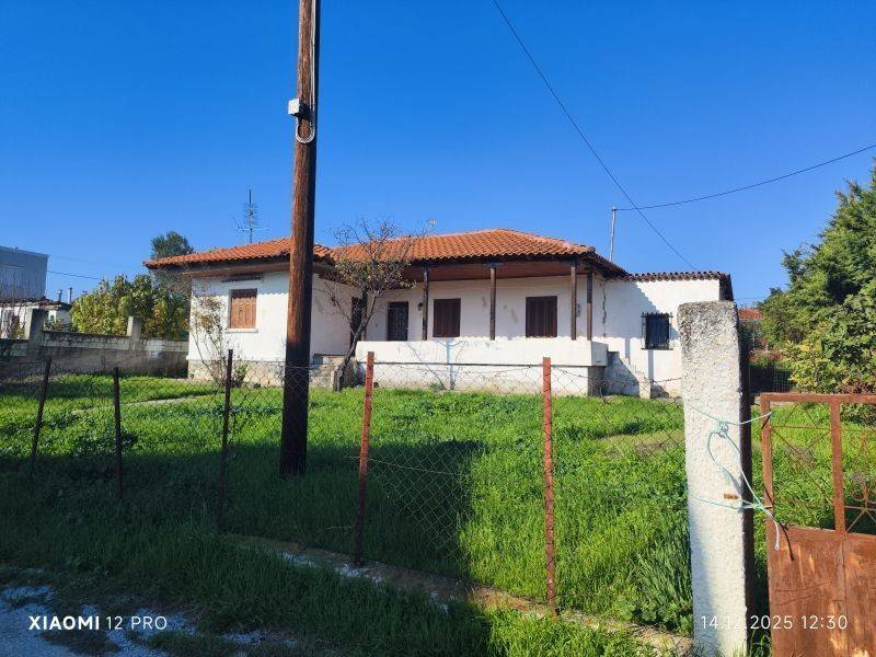 Εξωτερικός χώρος