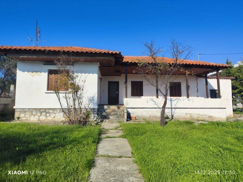 Εξωτερικός χώρος