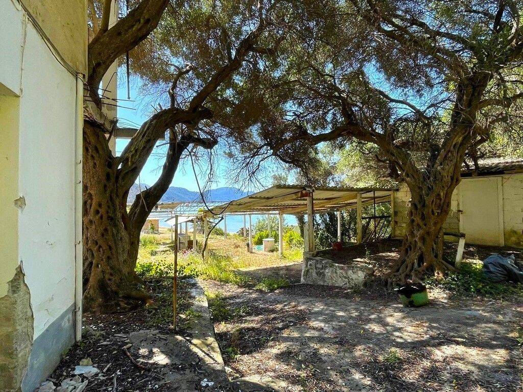 Building - Grekodom 44911|985932