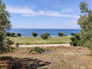 Plot - Grekodom 44502|648205