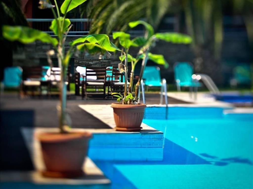 Hotel - Grekodom 44836|652879