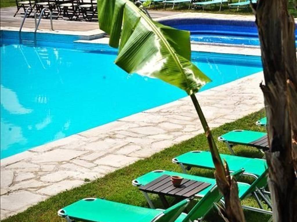 Hotel - Grekodom 44836|652881