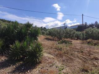 Plot - Grekodom 44502|648197