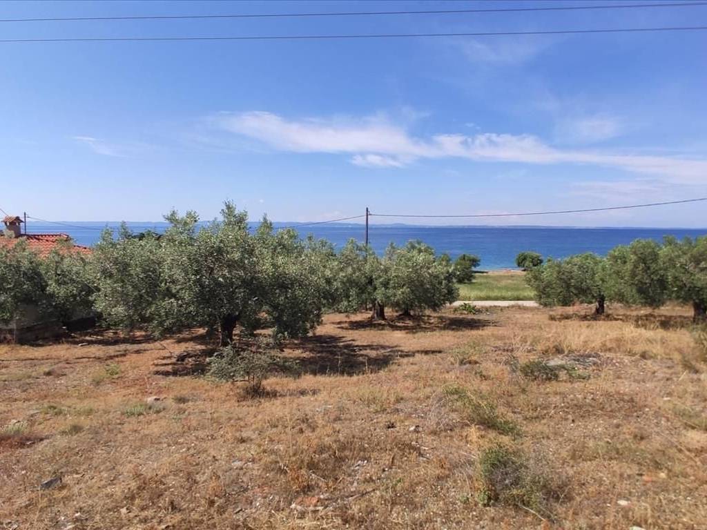 Plot - Grekodom 44502|648198