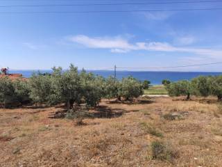 Plot - Grekodom 44502|648198