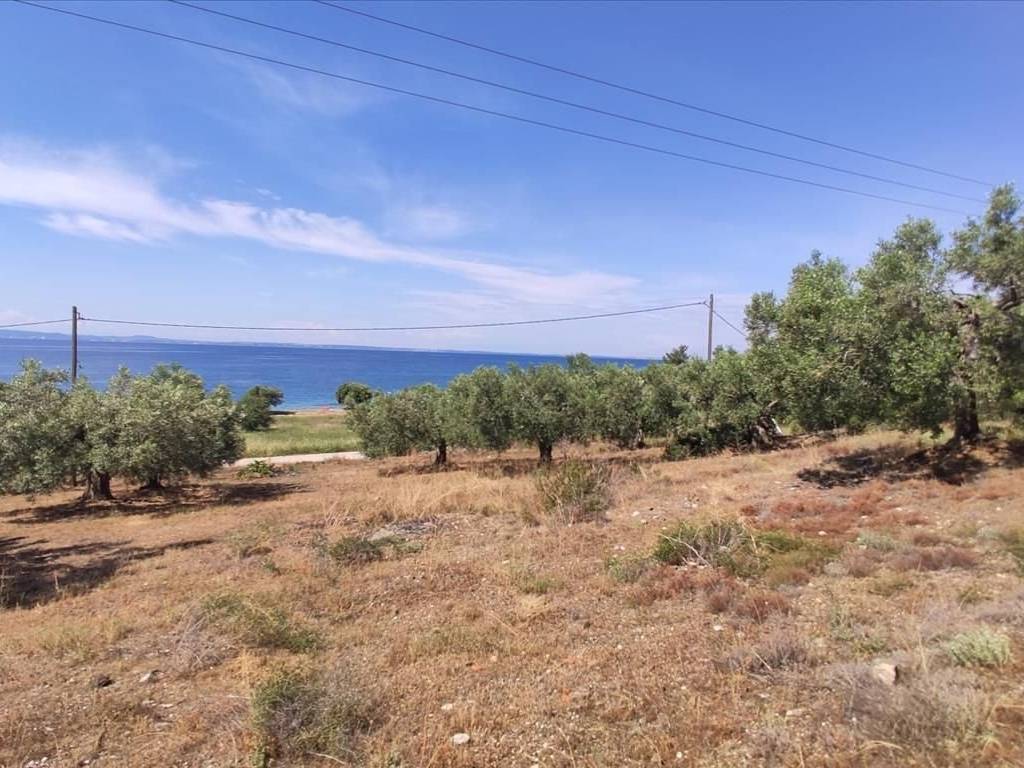 Plot - Grekodom 44502|648199